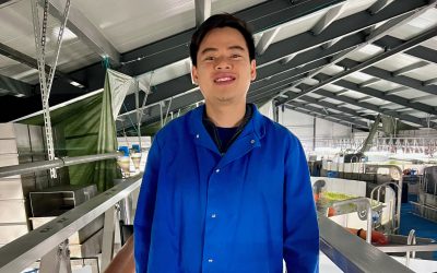 Frisk fisk på land med RAS